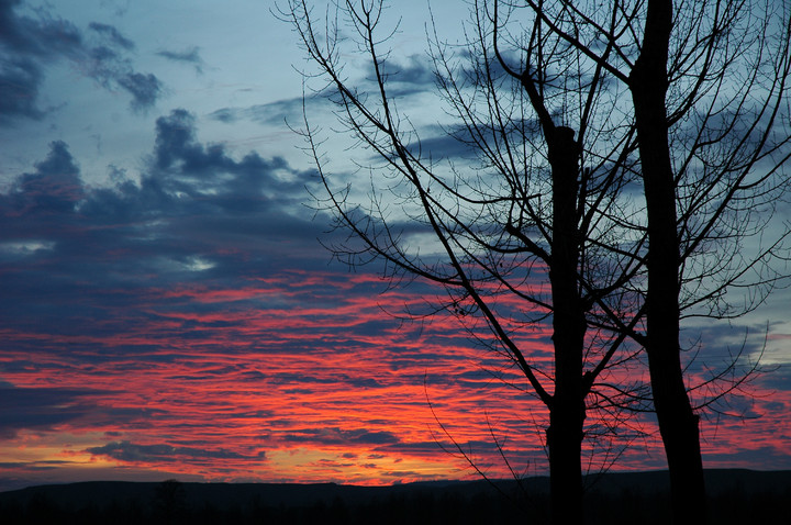 Resultado de imagen de imagen amanecer en aranjuez