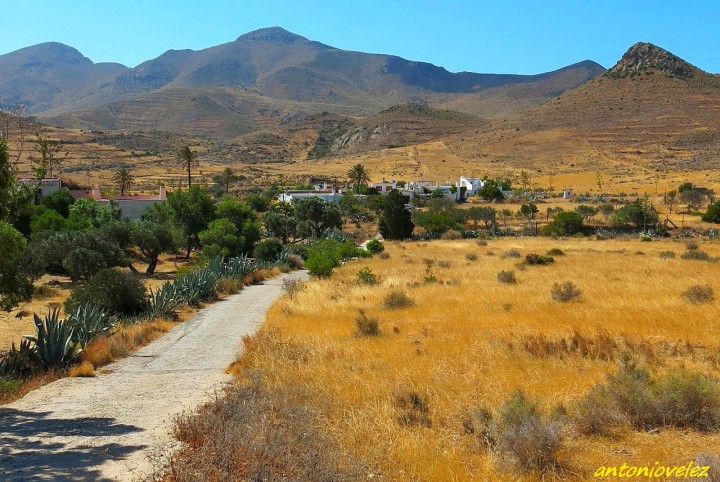 Fotos de Caminos de los campos de Níjar